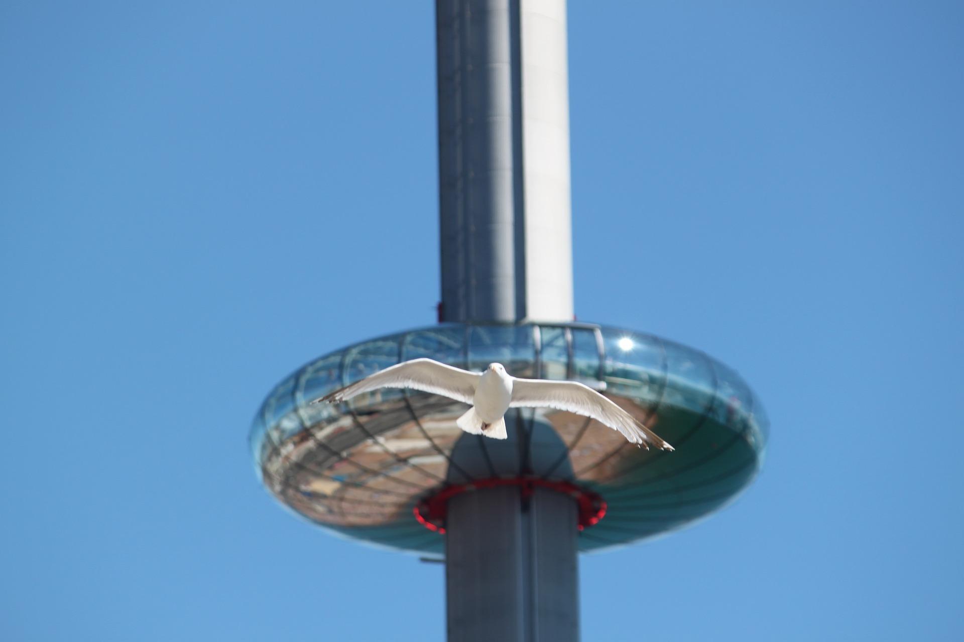 Brighton i360 looking for new owners